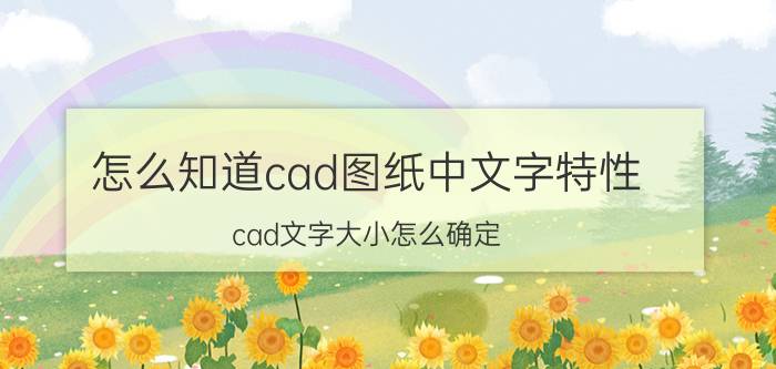 怎么知道cad图纸中文字特性 cad文字大小怎么确定？